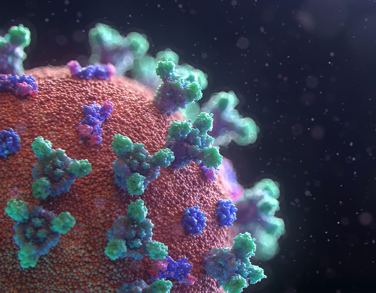 microscopic illustration of COVID virus